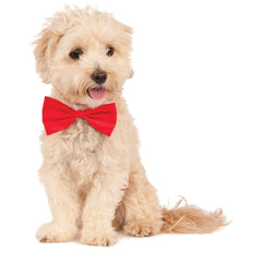 Red Pet Bowtie